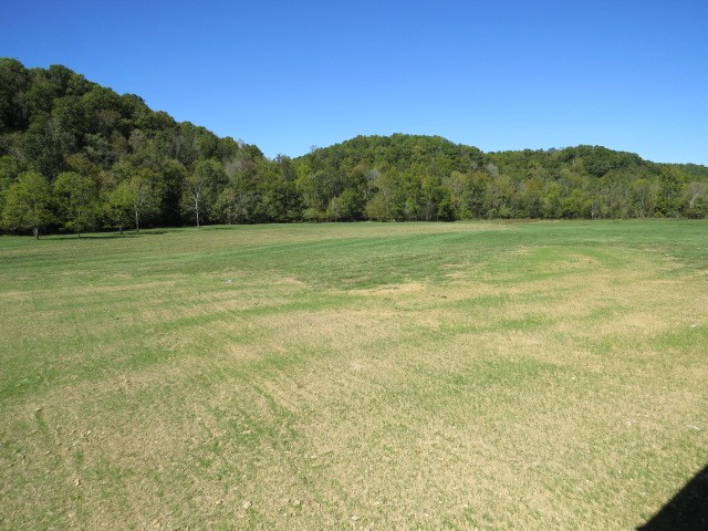 10890 Minor Hill Hwy Property Photo 53
