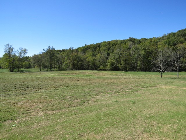 10890 Minor Hill Hwy Property Photo 54