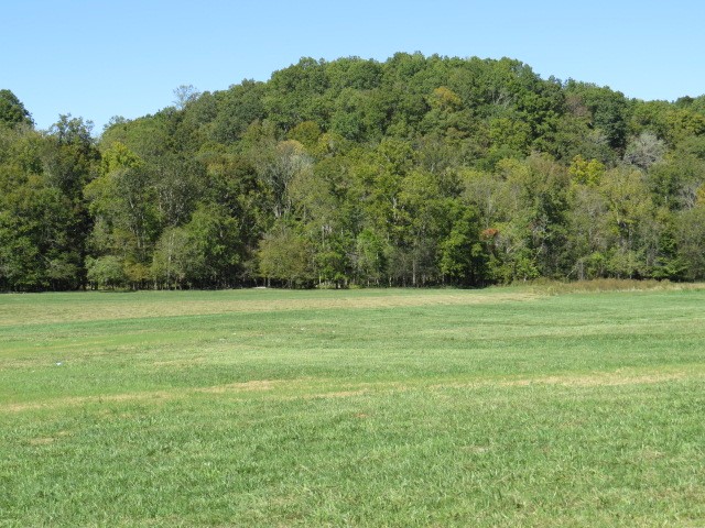 10890 Minor Hill Hwy Property Photo 55