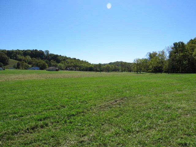 10890 Minor Hill Hwy Property Photo 56