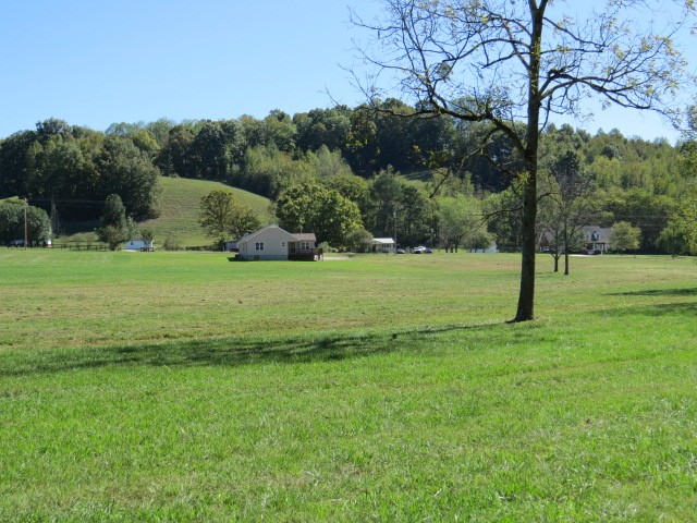 10890 Minor Hill Hwy Property Photo 57