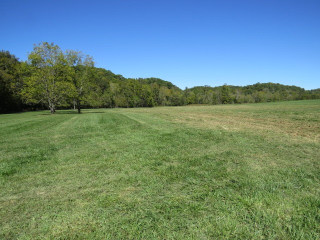 10890 Minor Hill Hwy Property Photo 58