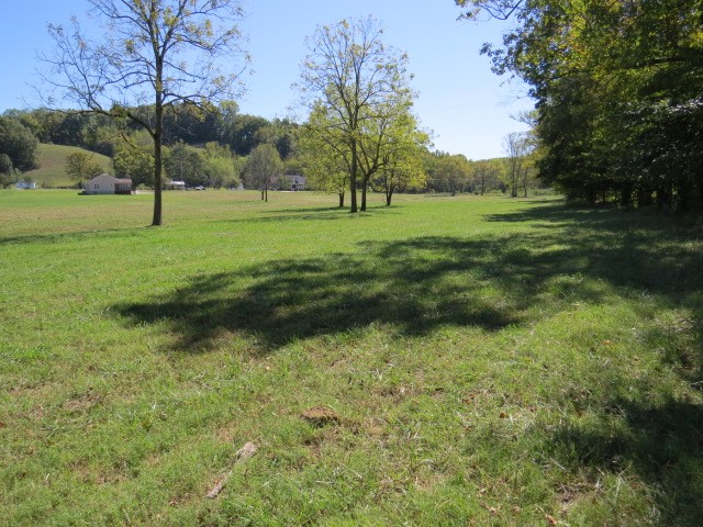 10890 Minor Hill Hwy Property Photo 59