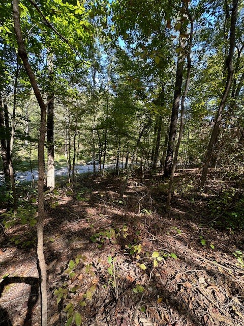 0 Chalk Hill Church Rd Property Photo 25