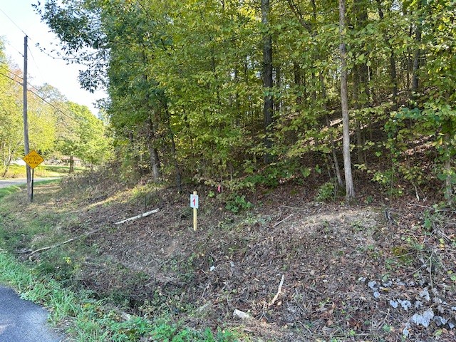 0 Chalk Hill Church Rd Property Photo 46