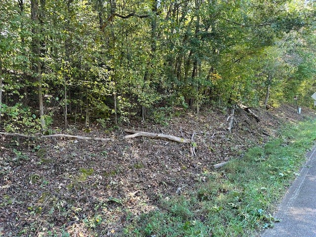 0 Chalk Hill Church Rd Property Photo 47