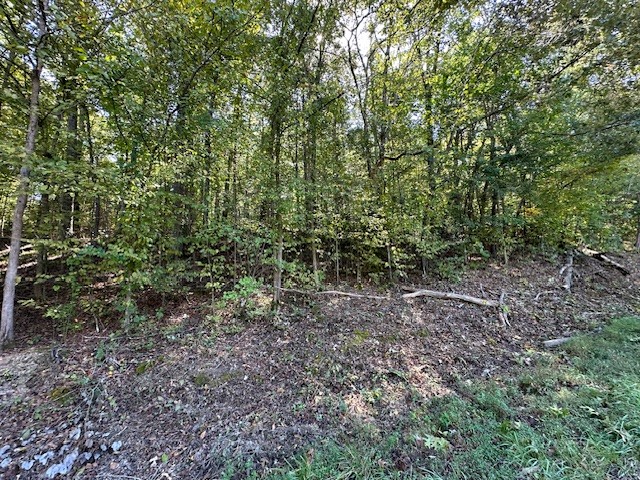 0 Chalk Hill Church Rd Property Photo 48