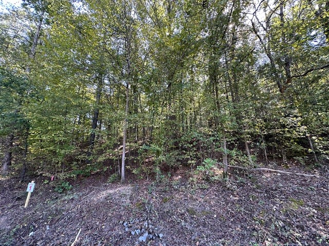 0 Chalk Hill Church Rd Property Photo 49