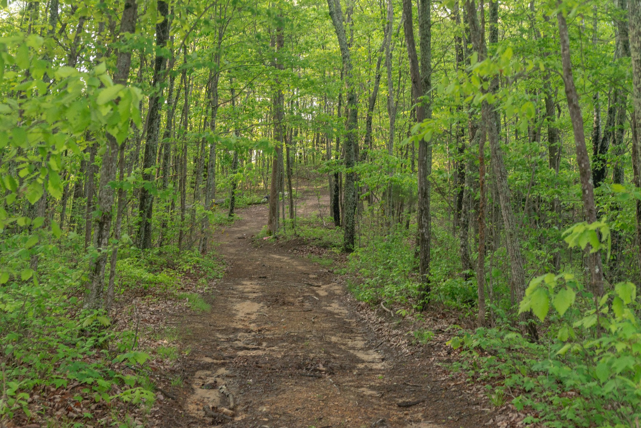 0 Middle Ridge Road Property Photo 1