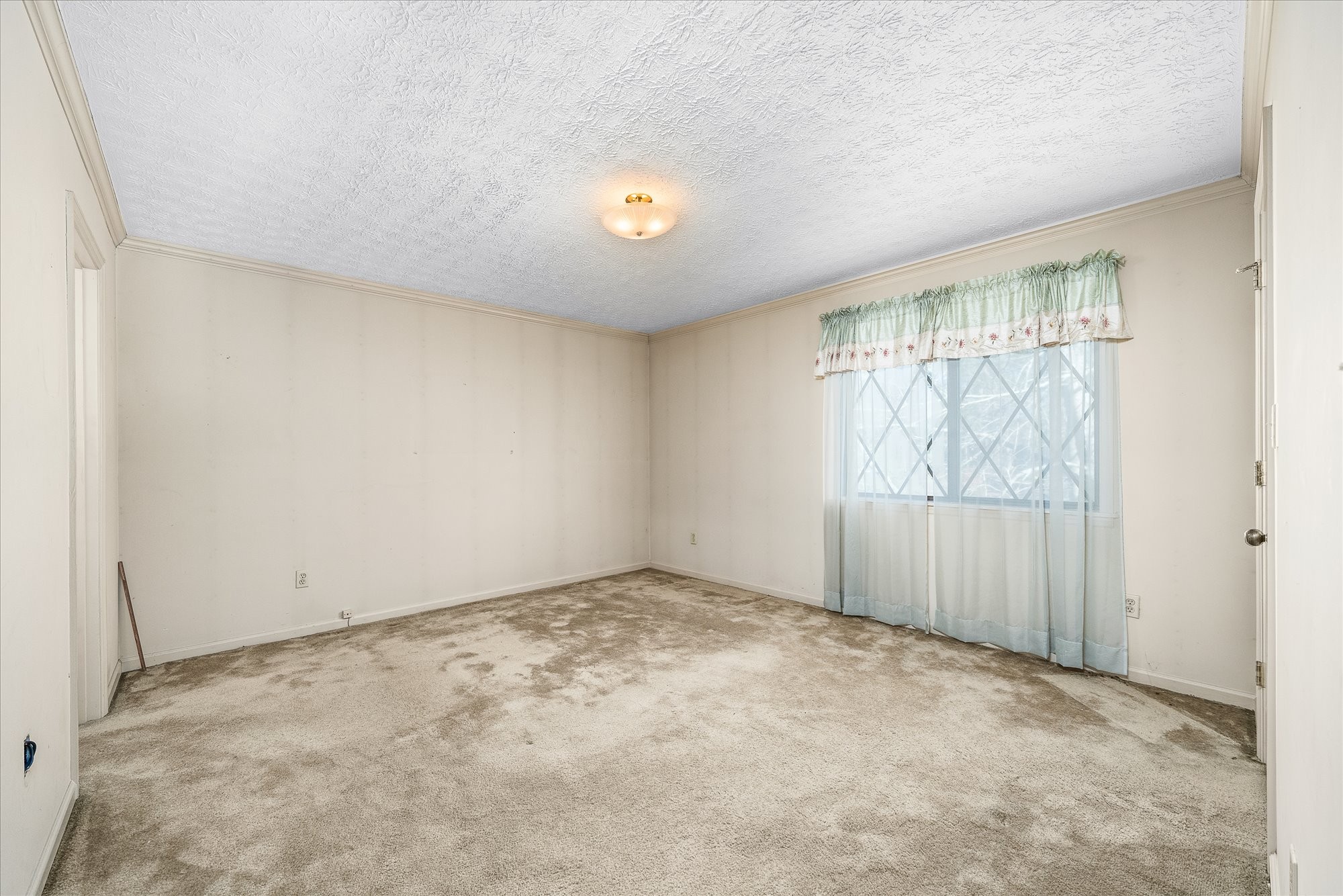 1645 Carriage Ln Property Photo 28