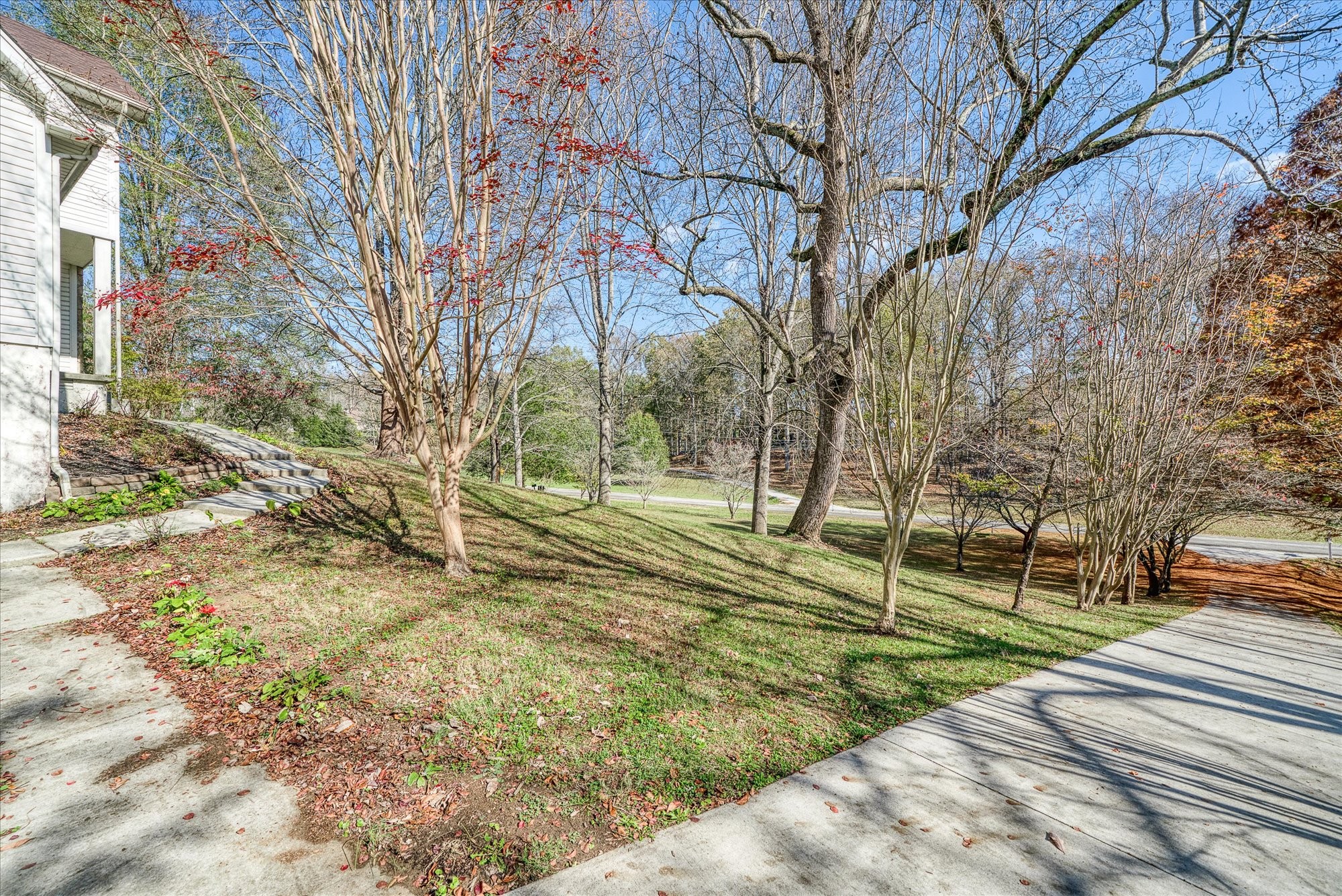 1645 Carriage Ln Property Photo 37