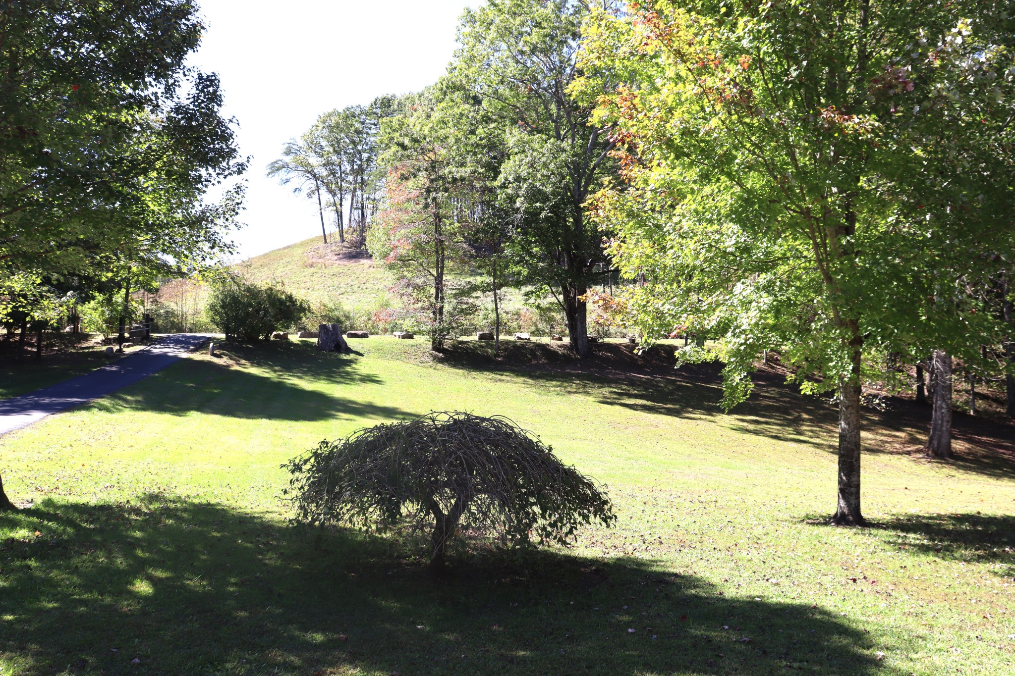 1286 Flat Branch Rd Property Photo 34