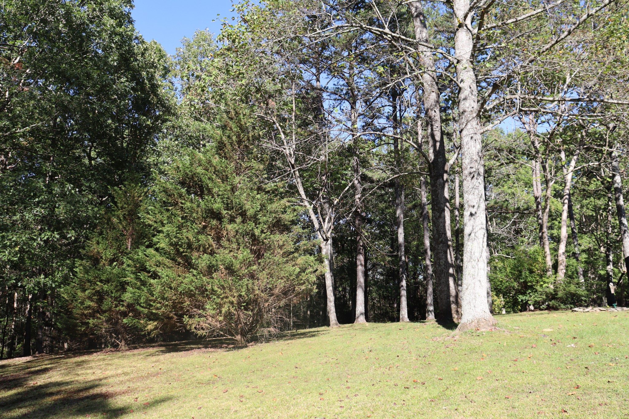 1286 Flat Branch Rd Property Photo 38