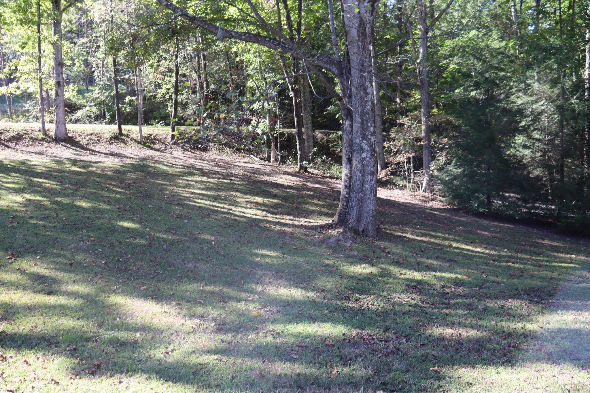 1286 Flat Branch Rd Property Photo 39