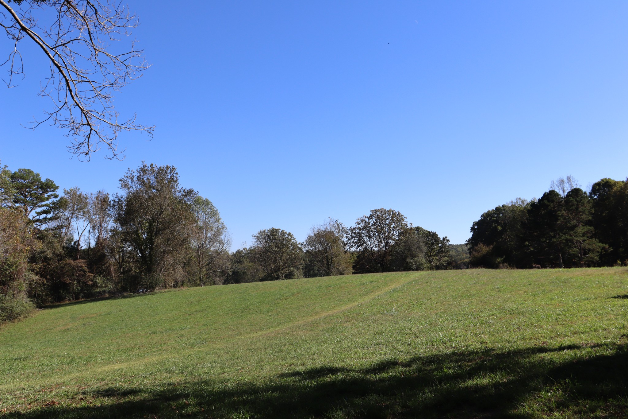 1286 Flat Branch Rd Property Photo 41
