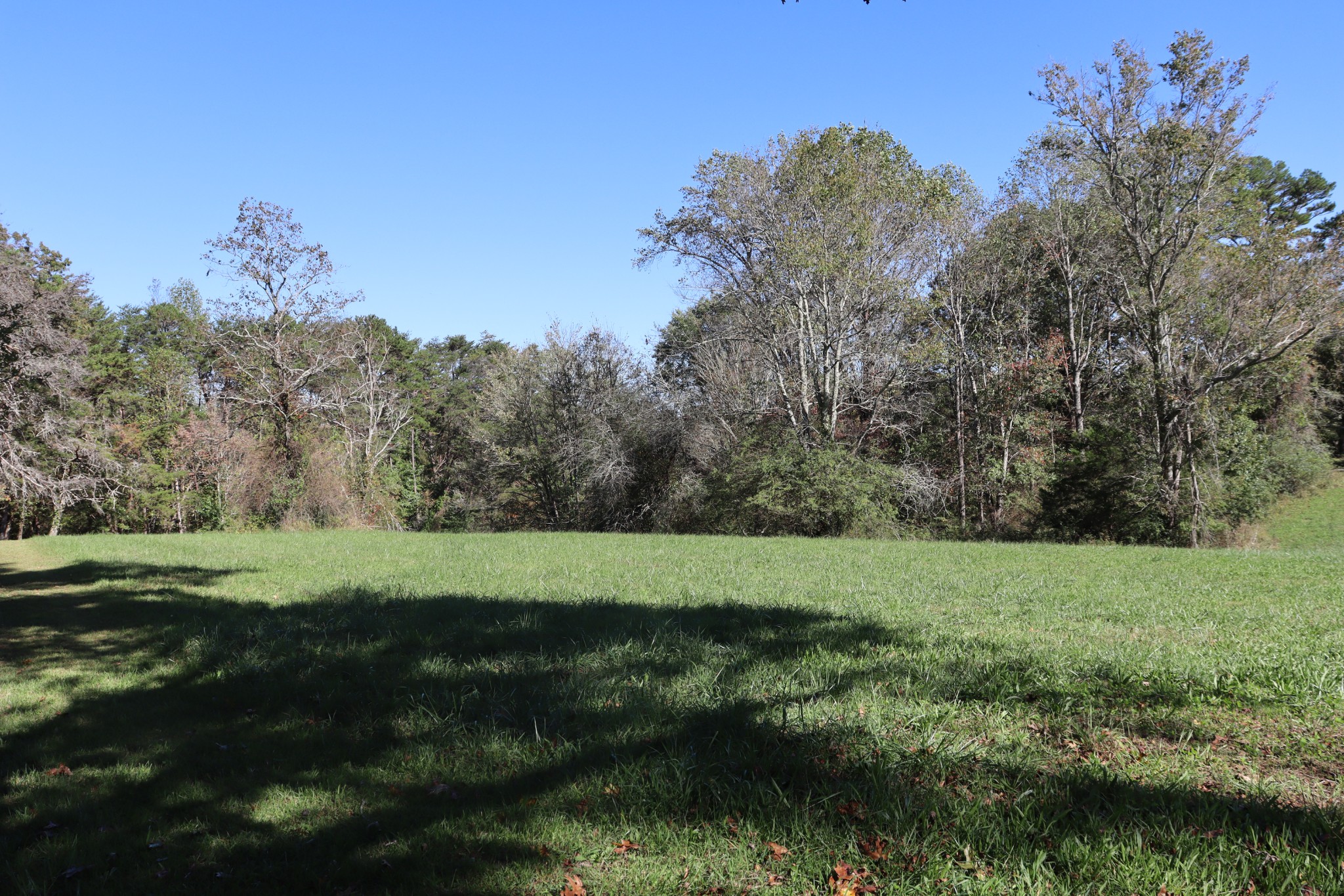 1286 Flat Branch Rd Property Photo 43
