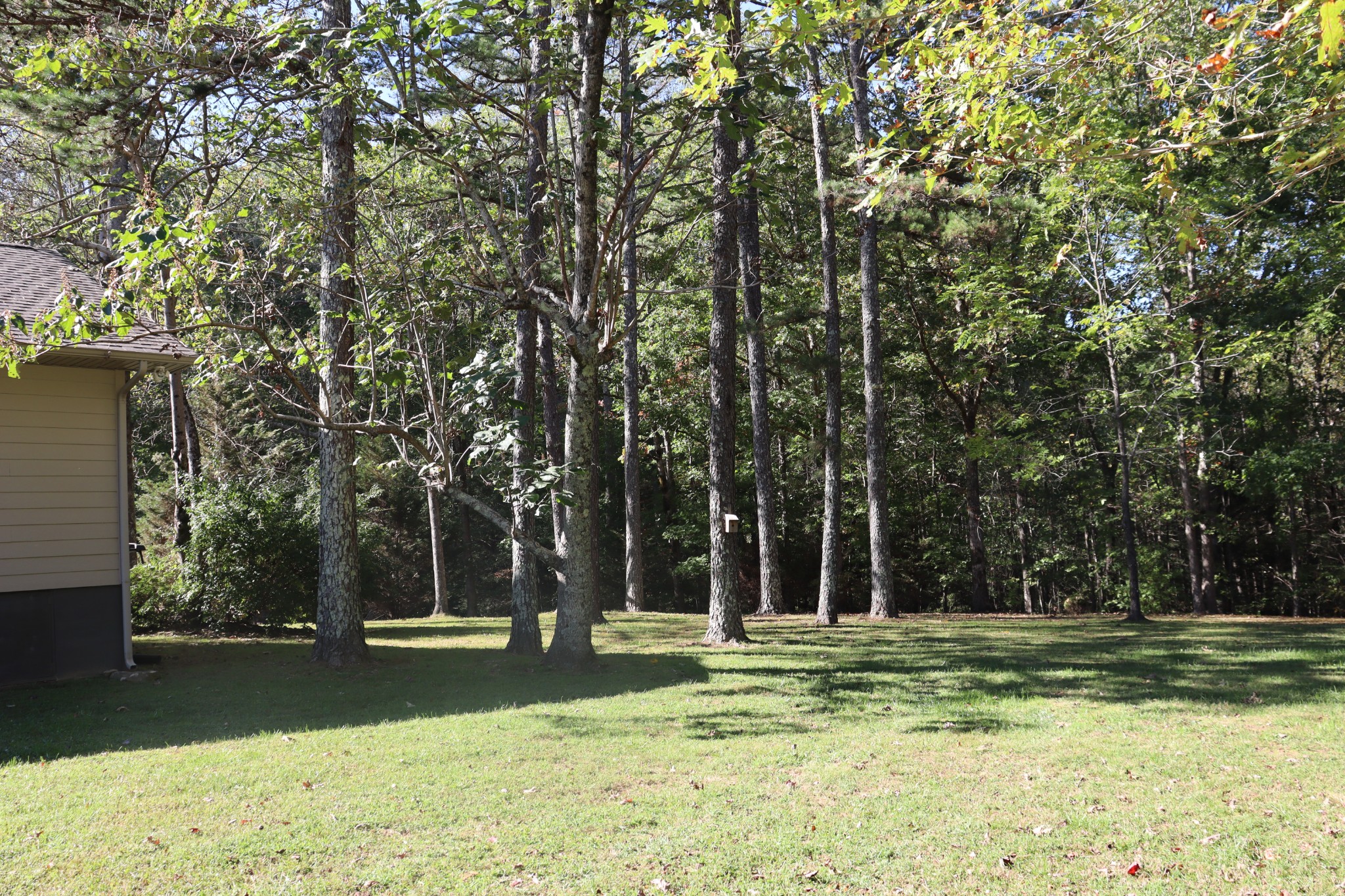 1286 Flat Branch Rd Property Photo 51
