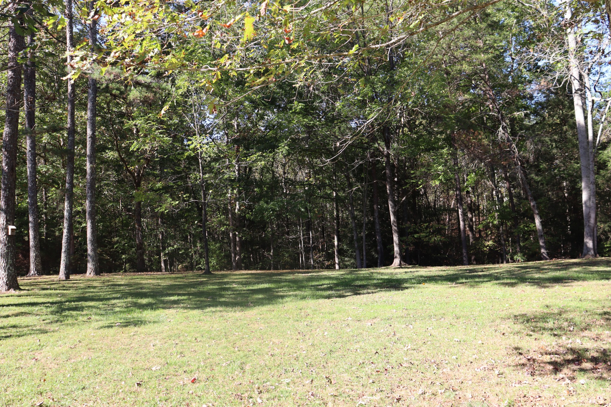 1286 Flat Branch Rd Property Photo 52