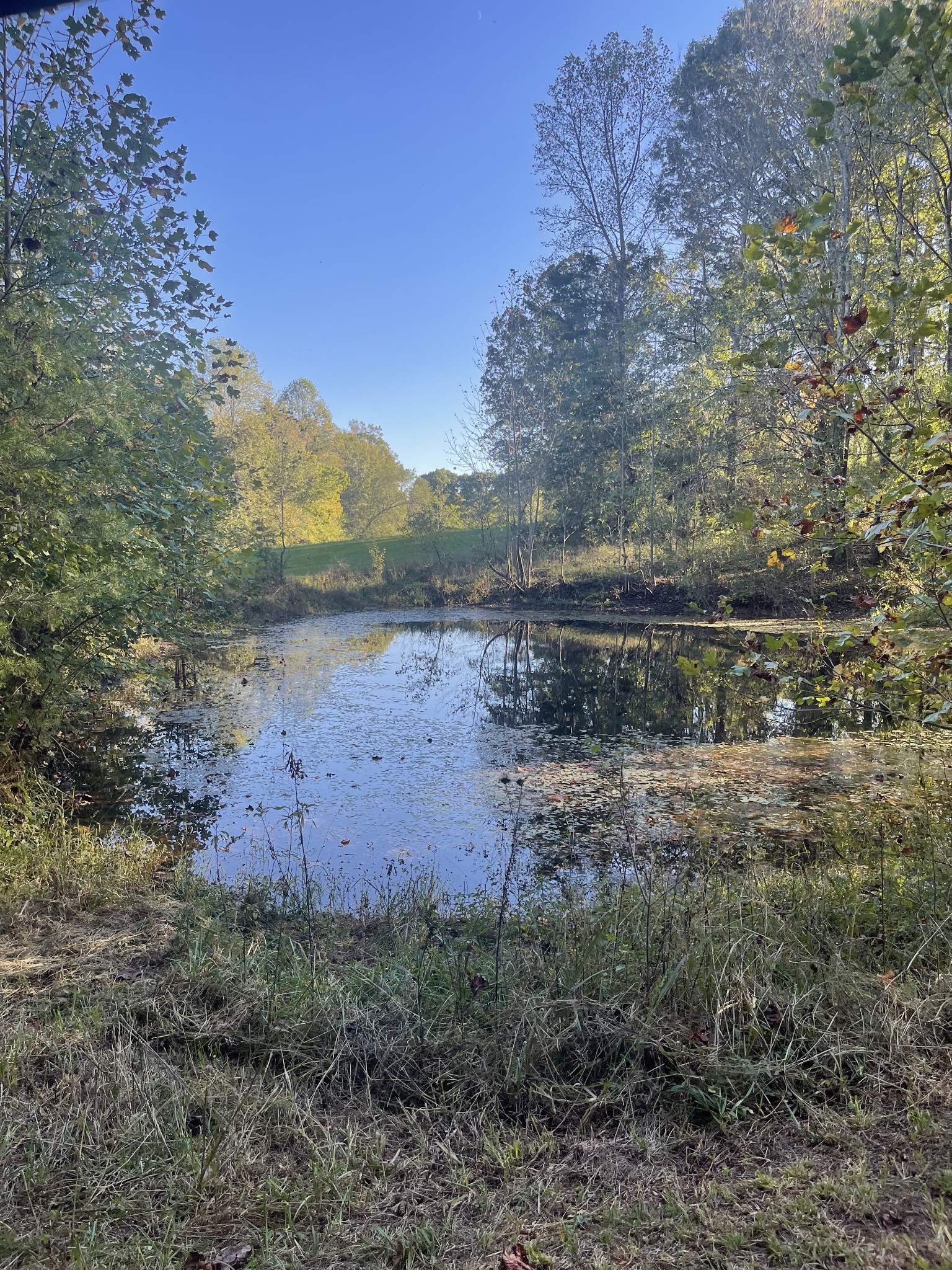 1286 Flat Branch Rd Property Photo 59
