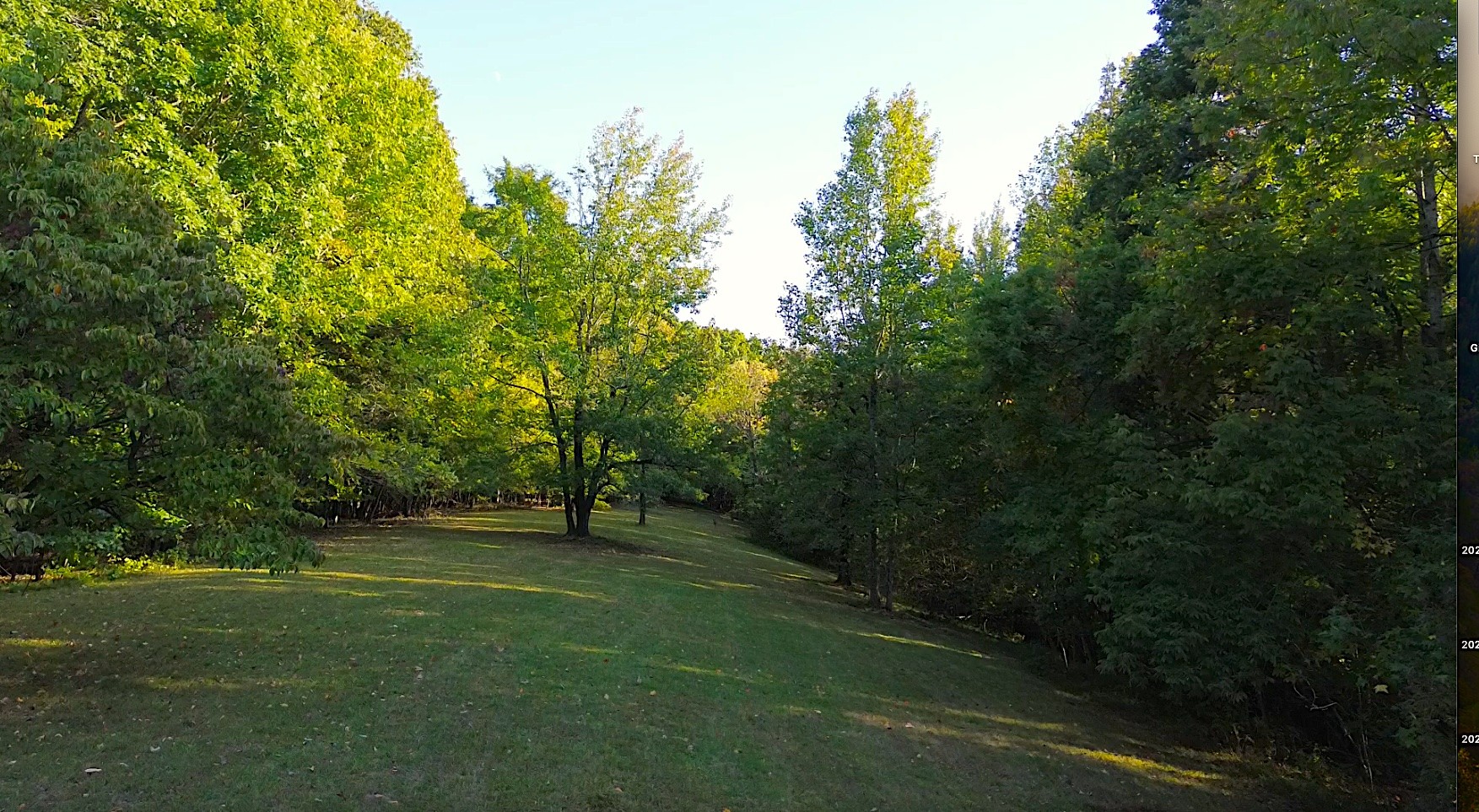 831 Damron Rd Property Photo 4
