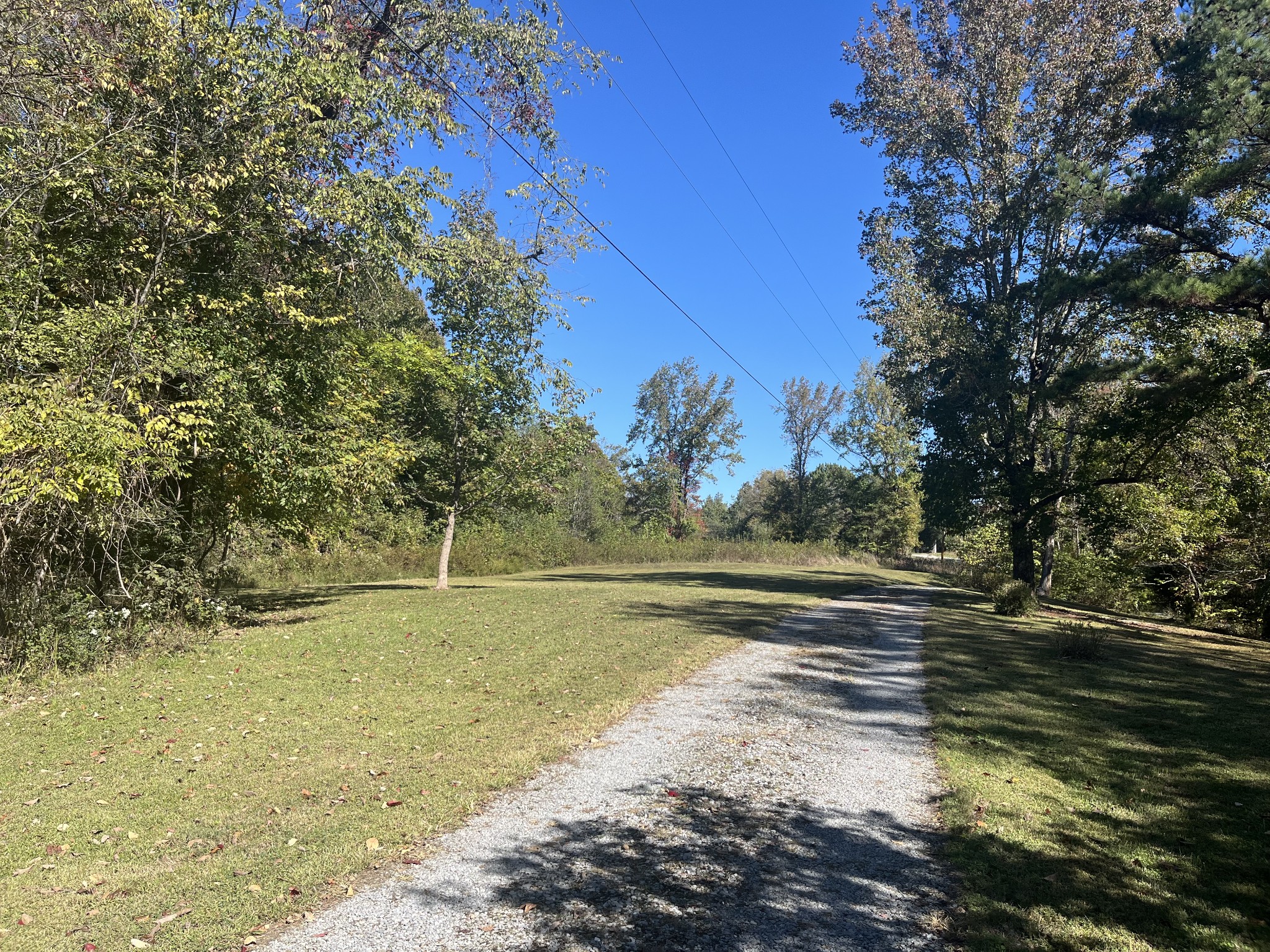 1125 Macon Wall Rd Property Photo 4