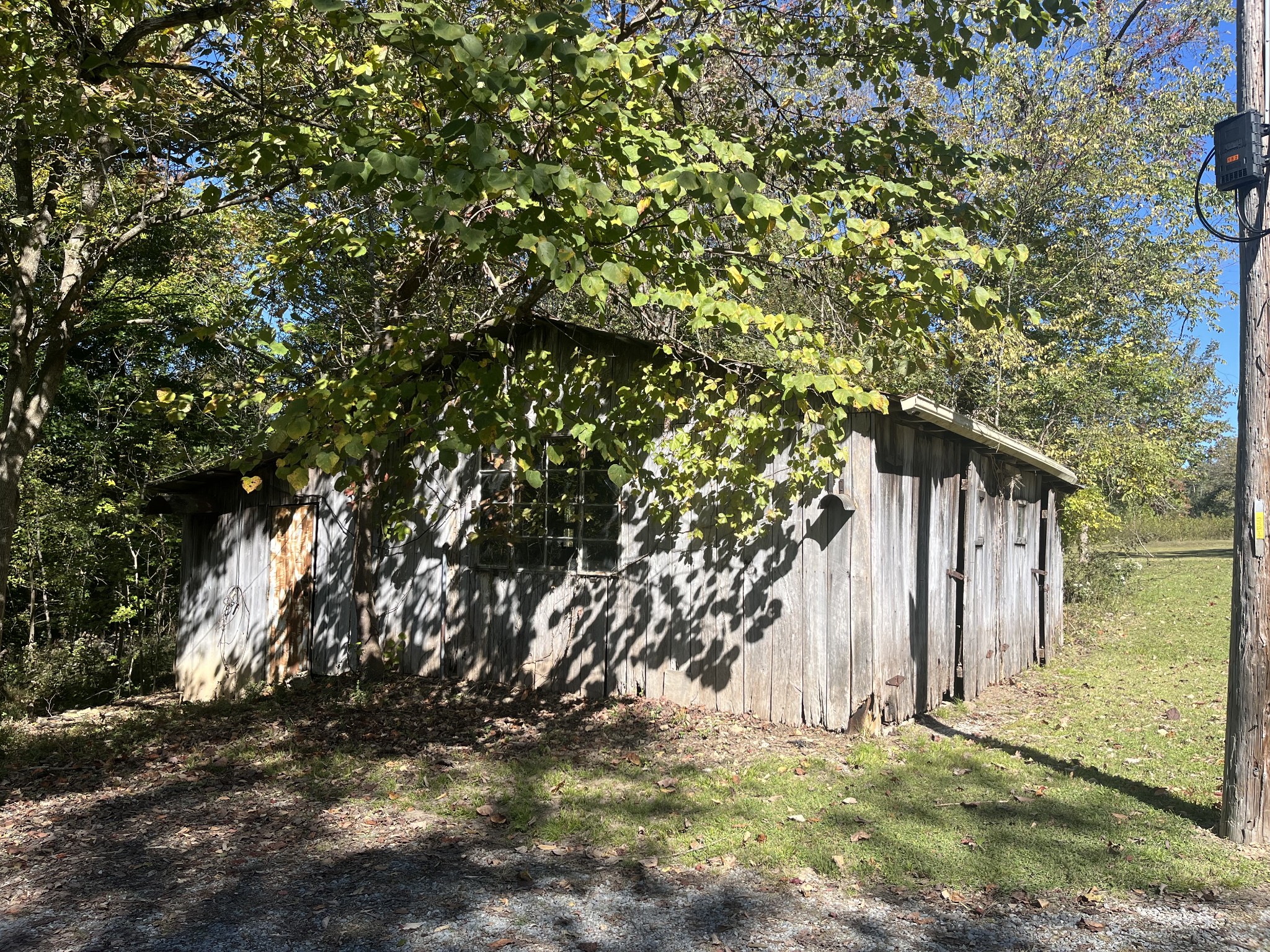 1125 Macon Wall Rd Property Photo 5