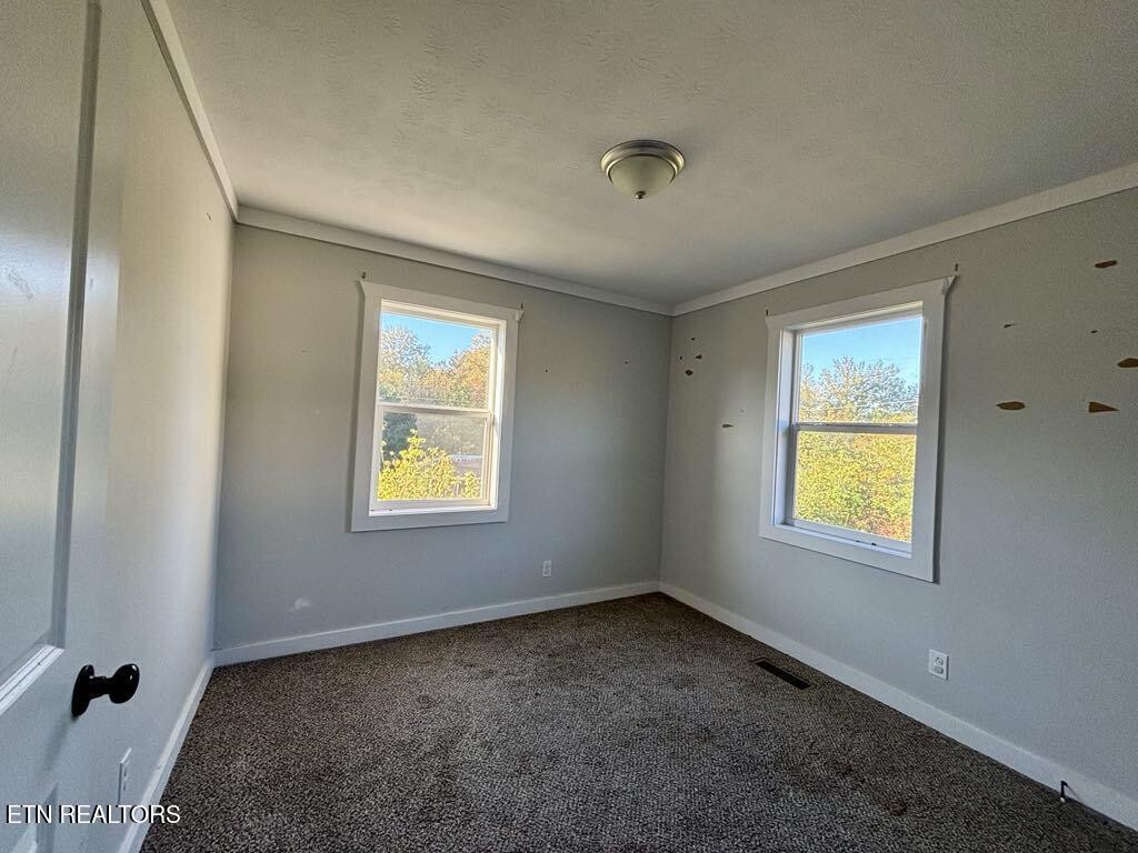 131 Christie Cir Property Photo 12