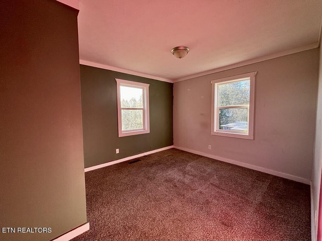 131 Christie Cir Property Photo 14