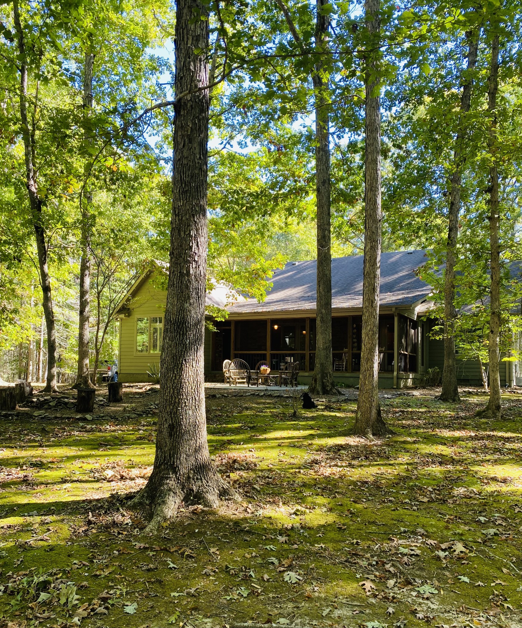 2271 Timberwood Trce Property Photo 39