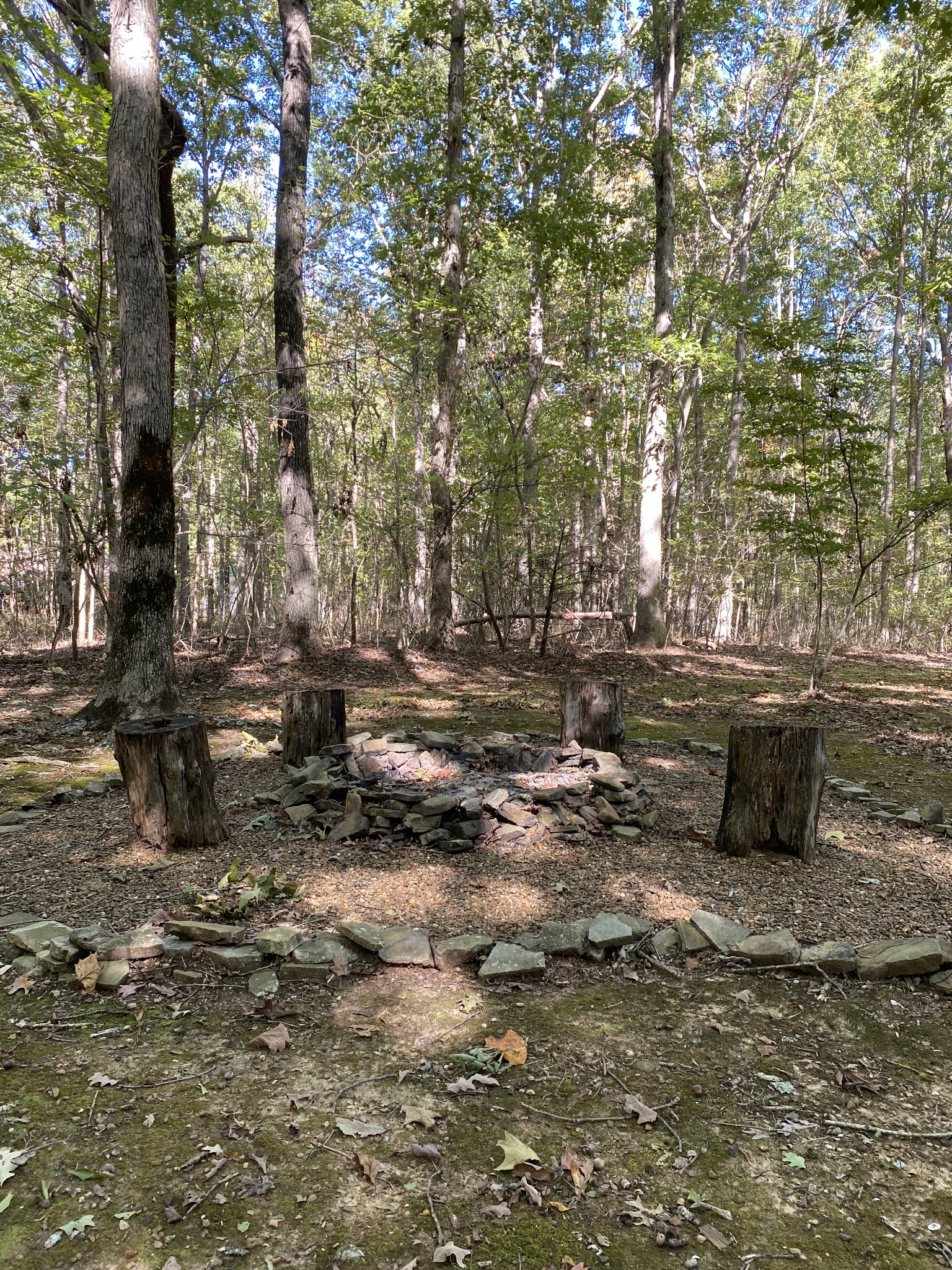 2271 Timberwood Trce Property Photo 52