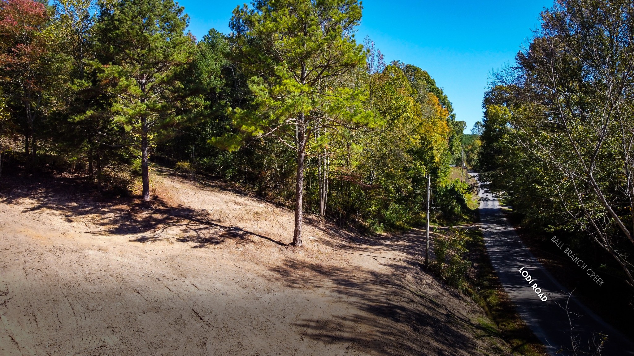 93 Lodi Rd Property Photo 3