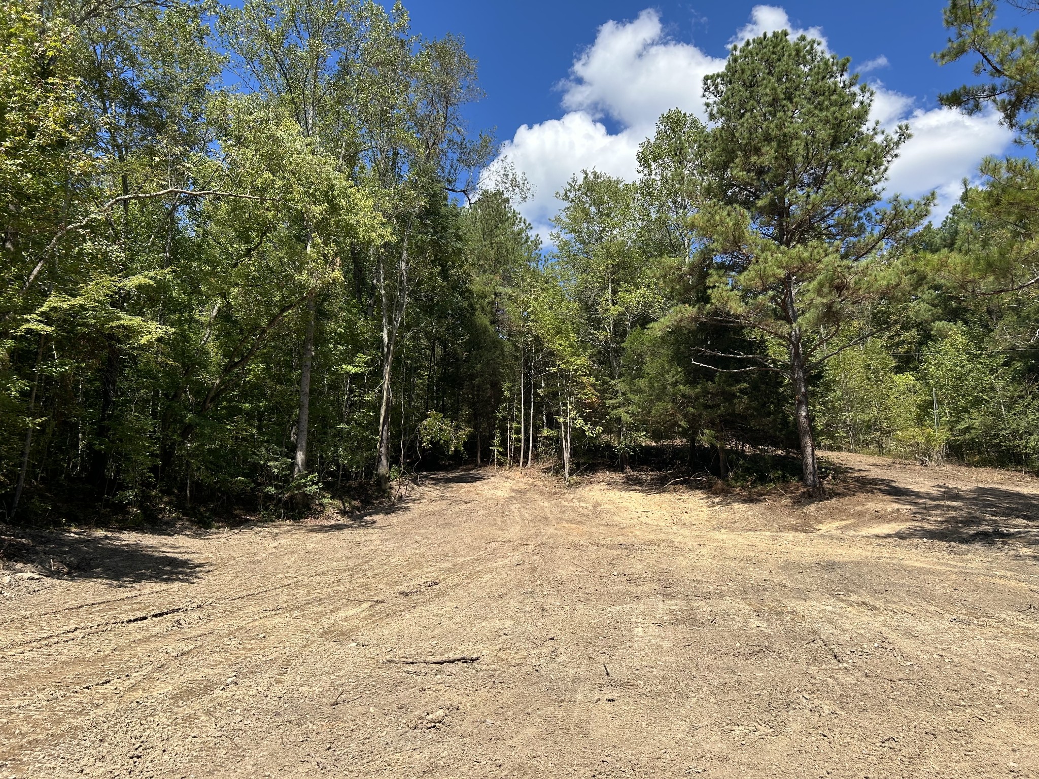 93 Lodi Rd Property Photo 5
