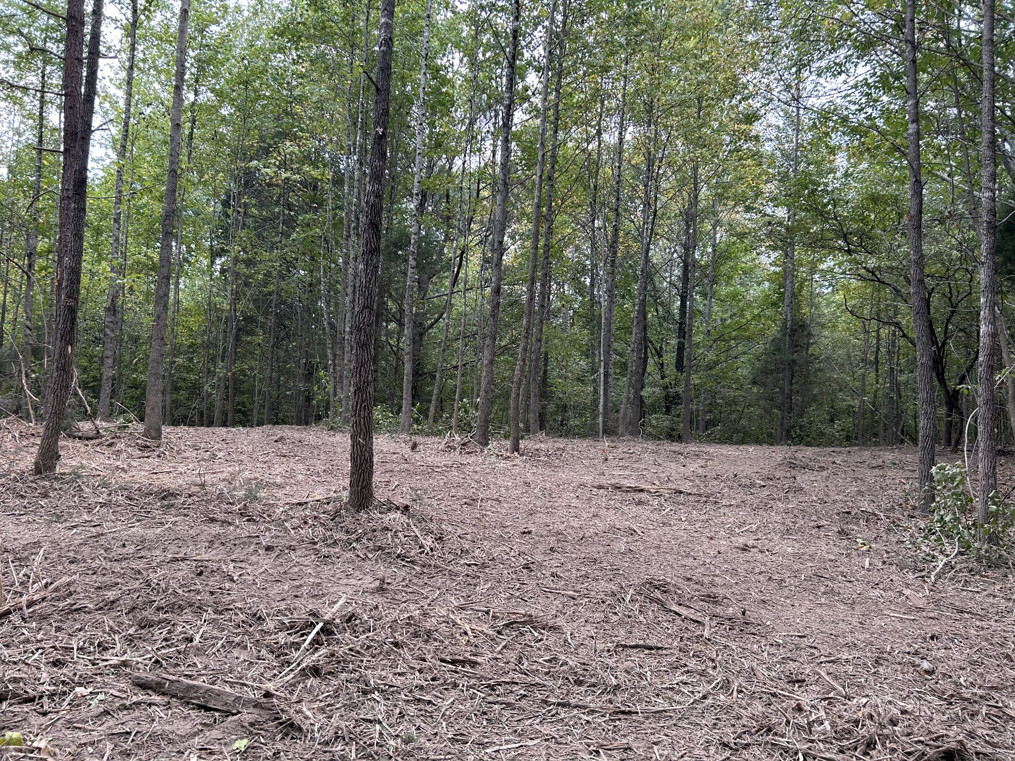 93 Lodi Rd Property Photo 12