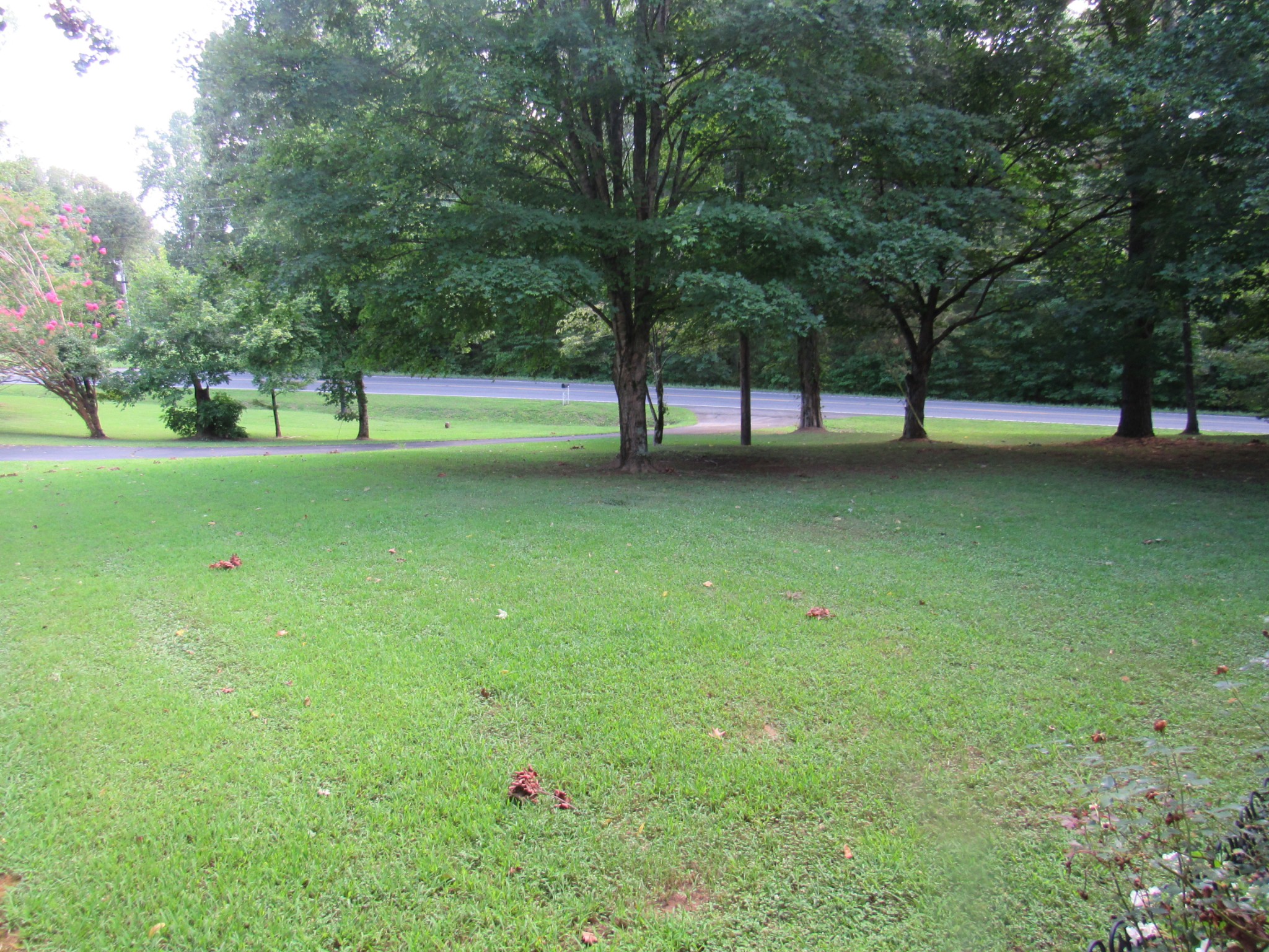 1308 Cumberland City Rd Property Photo 3