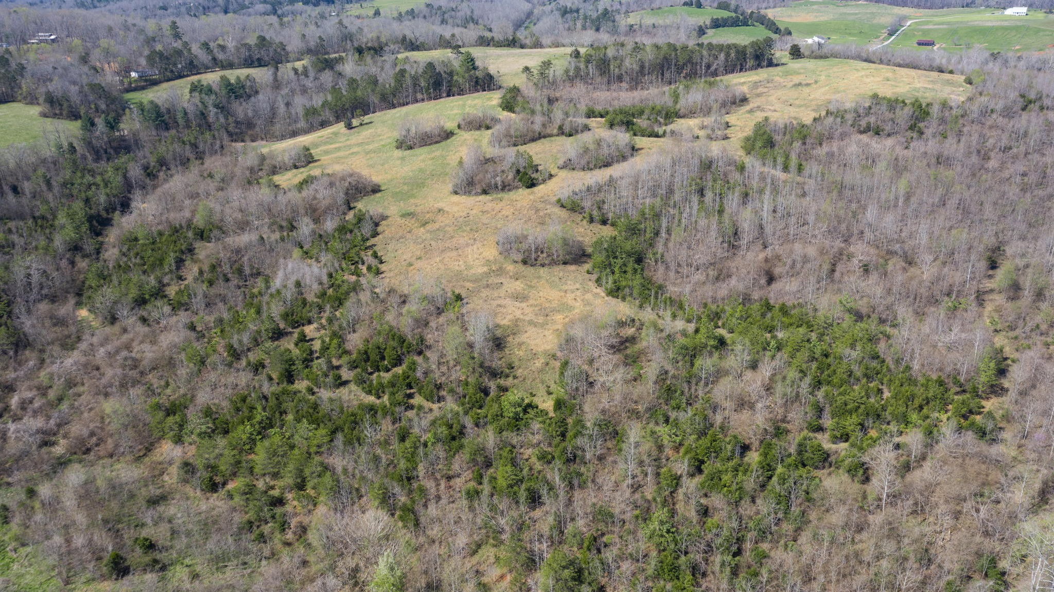 9011 Highway 321, N Property Photo 12