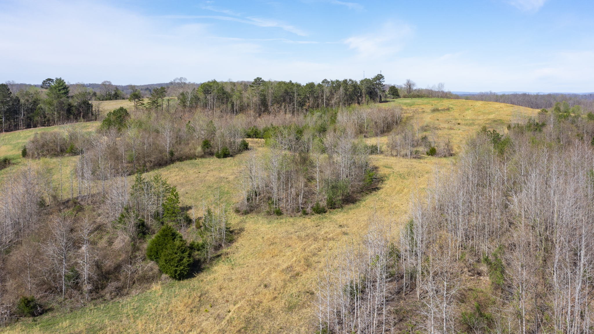 9011 Highway 321, N Property Photo 13