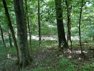 0 Hwy 64 E Frankewing Tn 38459 Property Photo 1