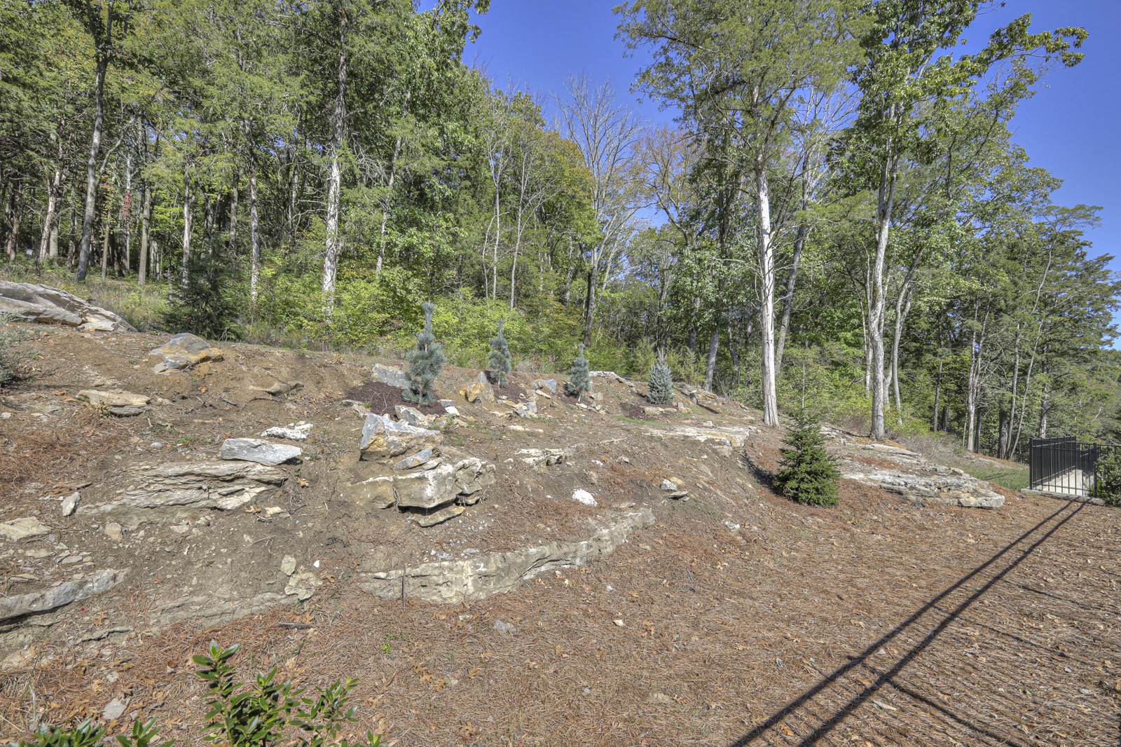 1408 Amesbury Ln Property Photo 63