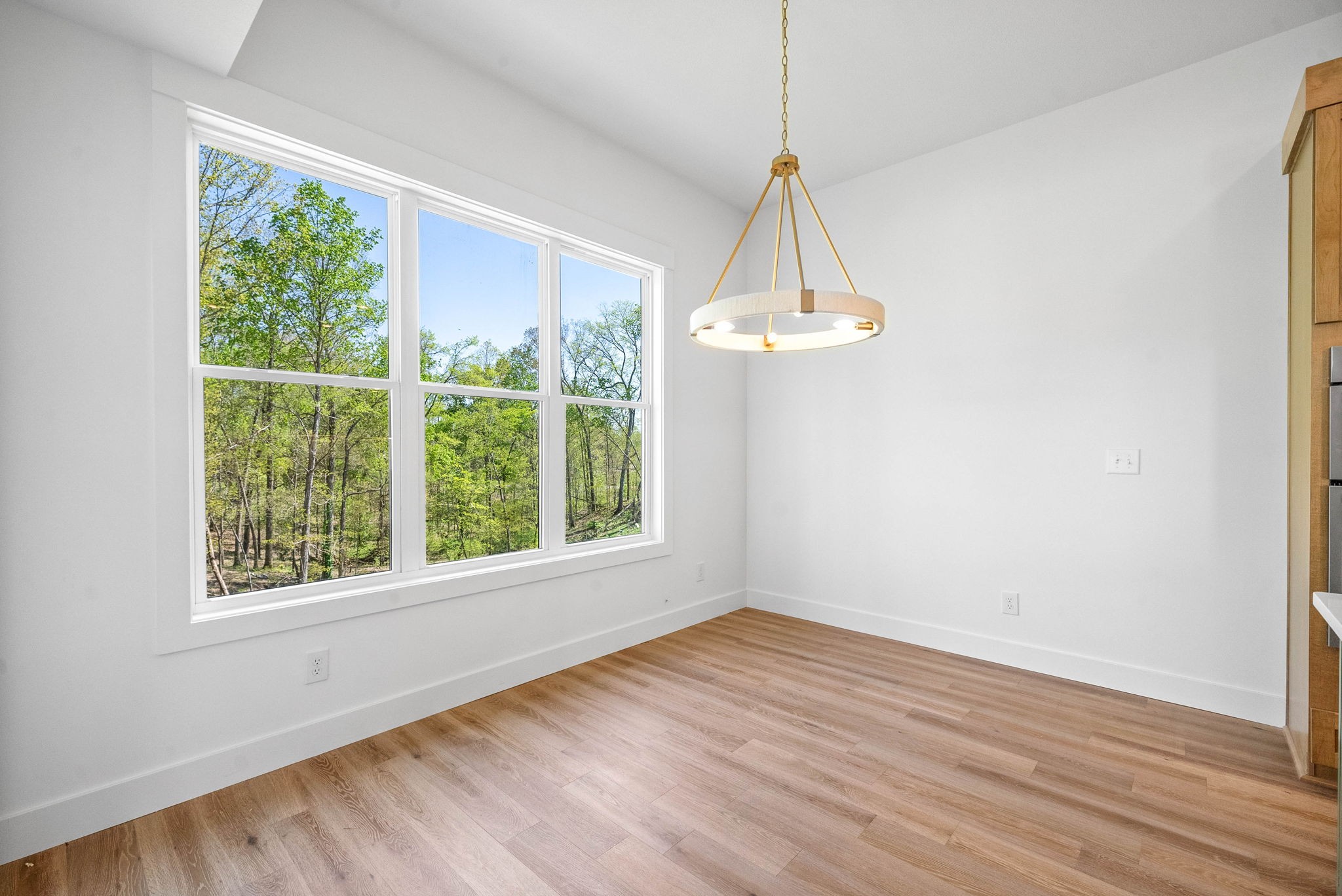 411 Blue Ridge Ct Property Photo 14
