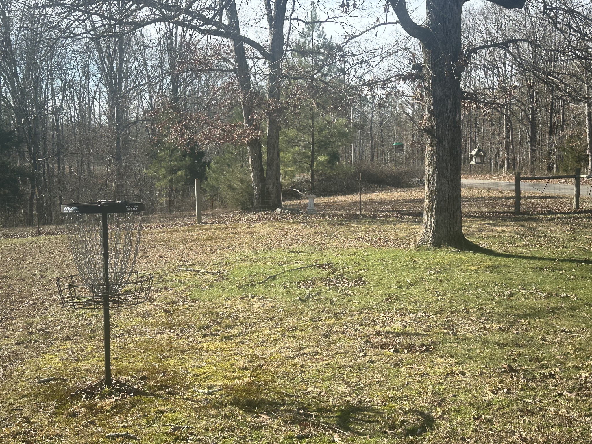 695 Bucket Branch Rd Property Photo 7