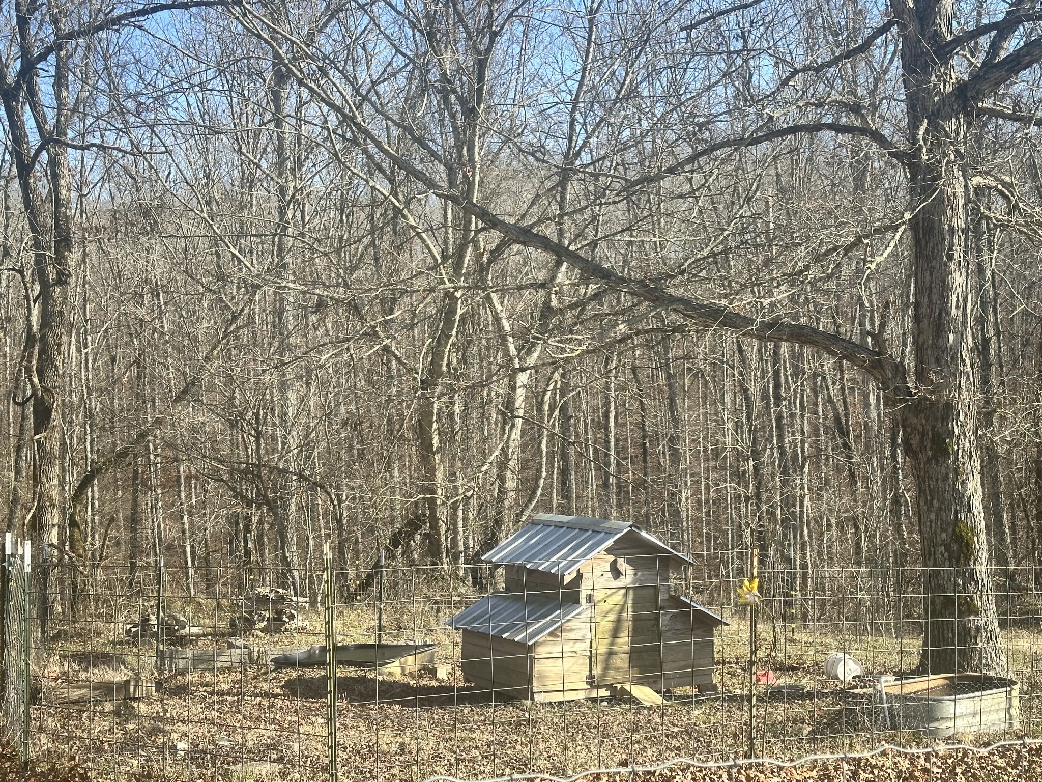 695 Bucket Branch Rd Property Photo 12