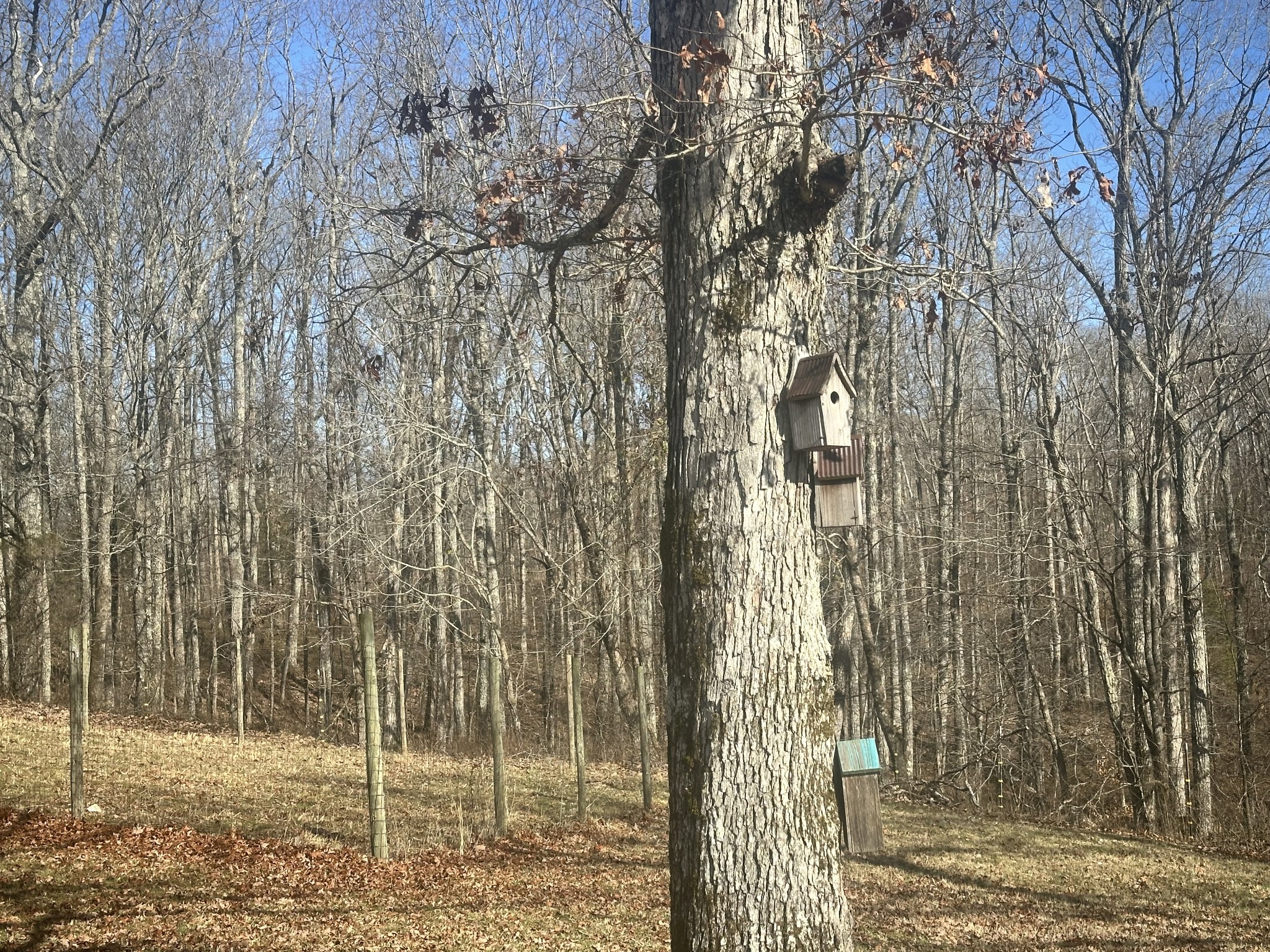 695 Bucket Branch Rd Property Photo 16