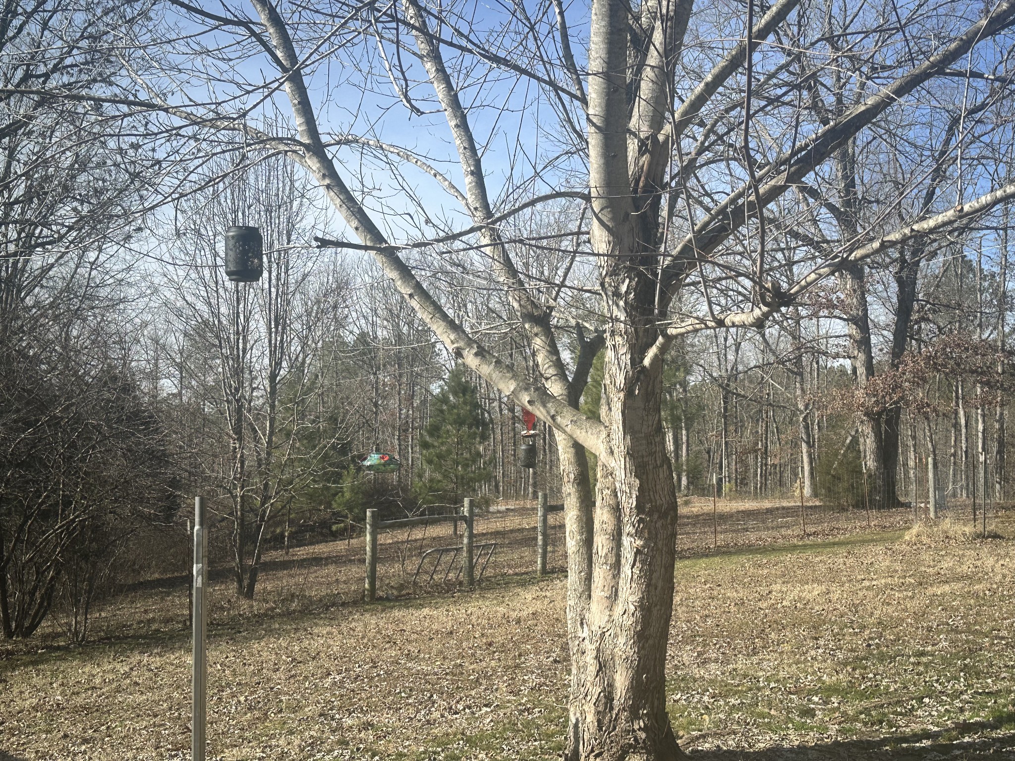 695 Bucket Branch Rd Property Photo 17