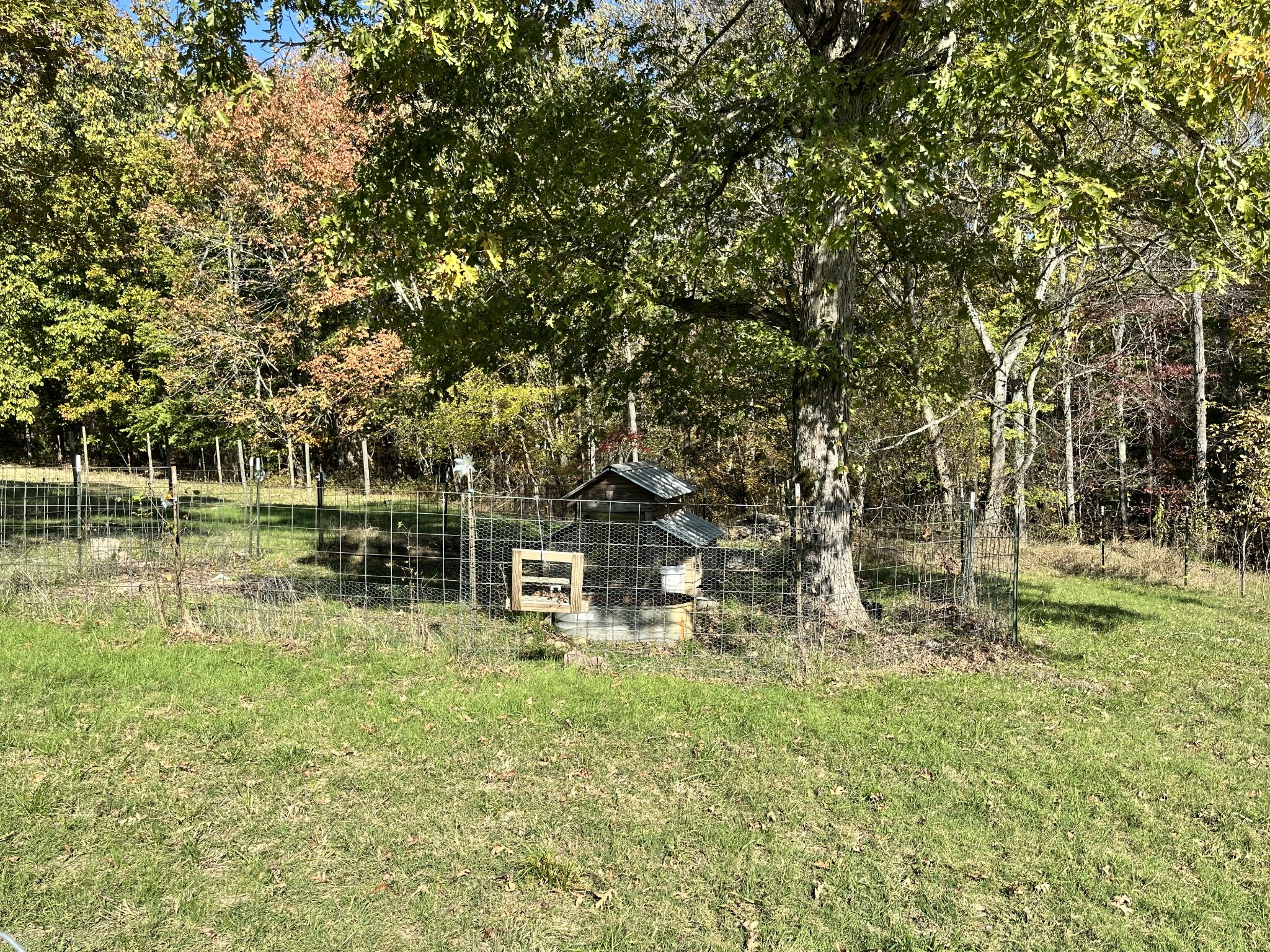 695 Bucket Branch Rd Property Photo 61