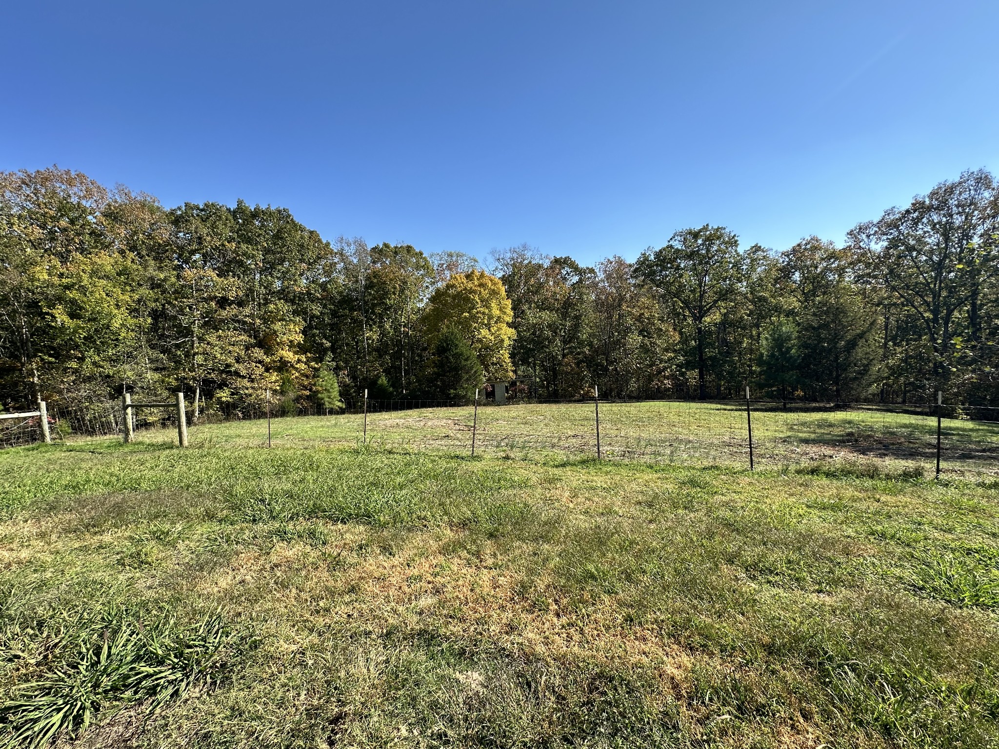 695 Bucket Branch Rd Property Photo 62