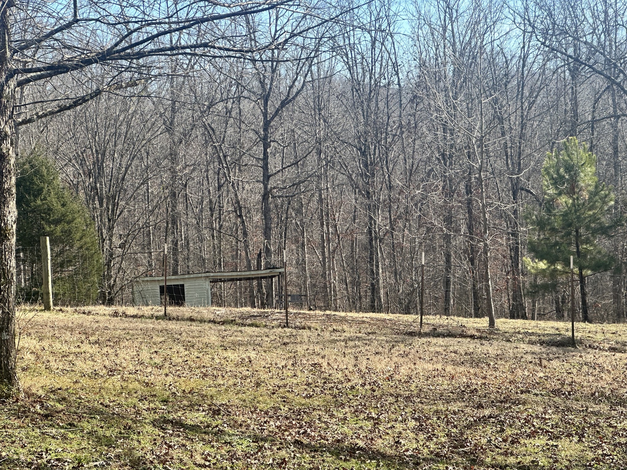 695 Bucket Branch Rd Property Photo 69