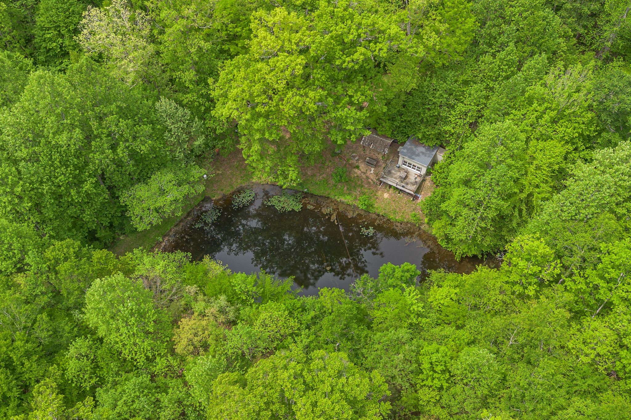 9005 Highway 100 Property Photo 28