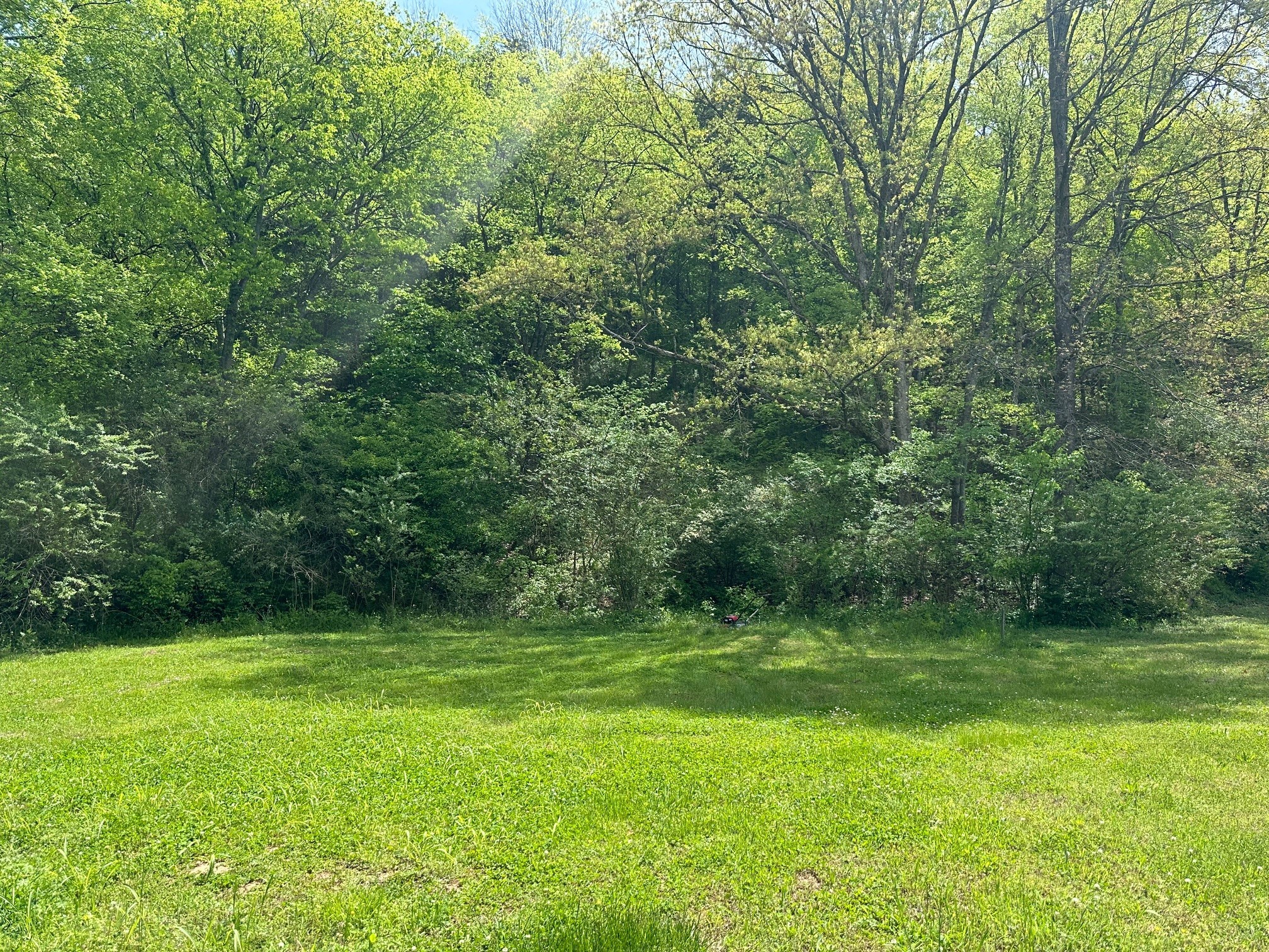 1014 Creekside Dr Property Photo 2