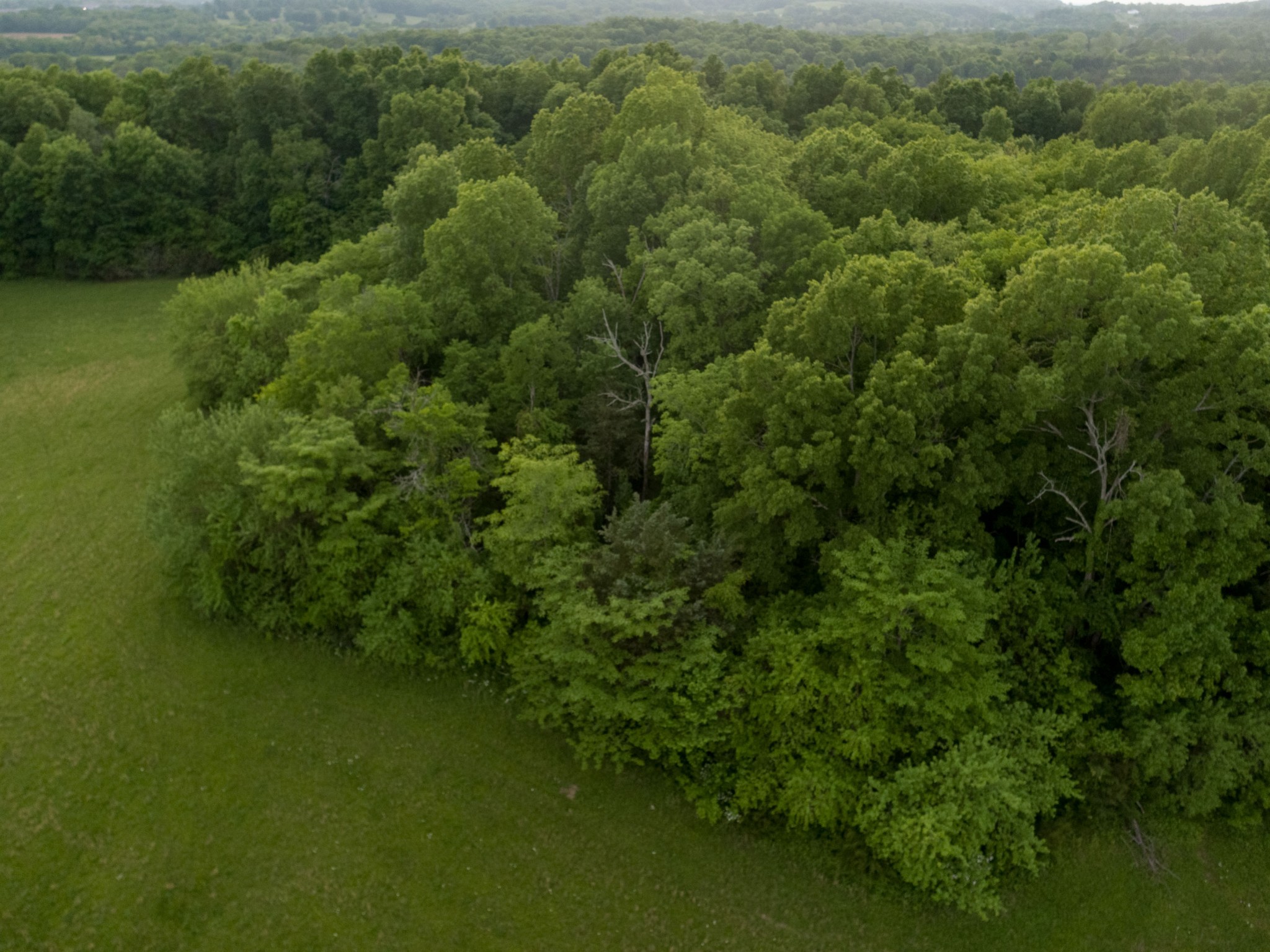 775 Railroad Rd Property Photo 33