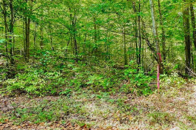 0 Bolestown Loop Lot 2 Property Photo 1